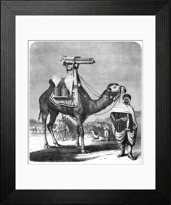 Framed Print : Gatling rapid fire gun (1861-62): Camel-mounted model. From The Science Record New York, 1862. Engraving Framed Print : Gatling rapid fire gun (1861-62): Camel-mounted model. From The Science Record New York, 1862. Engraving