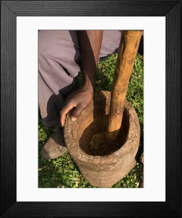 Framed Print : Pounding coffee beans, Omwani Women's Coffee Cooperative, Uganda Framed Print : Pounding coffee beans, Omwani Women's Coffee Cooperative, Uganda