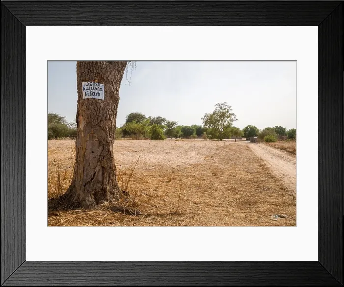 Framed Print : Sign on Tree Indicates that the Village, Bijam, near Kaolack, Senegal, is participating in a Millet Development Program Framed Print : Sign on Tree Indicates that the Village, Bijam, near Kaolack, Senegal, is participating in a Millet Development Program