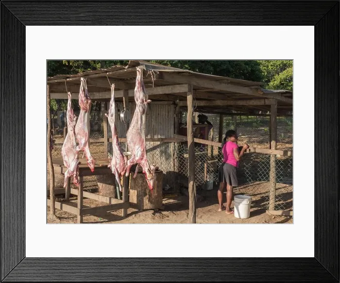 Framed Print : Higüey, La Altagracia, May 27, 2017: Dominican girl working at a goat slaughter house on the side of the road Framed Print : Higüey, La Altagracia, May 27, 2017: Dominican girl working at a goat slaughter house on the side of the road