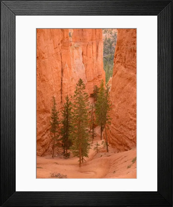 Framed Print : Bryce Canyon, Navajo Loop Trail, Bryce Canyon National Park, Utah, USA Framed Print : Bryce Canyon, Navajo Loop Trail, Bryce Canyon National Park, Utah, USA