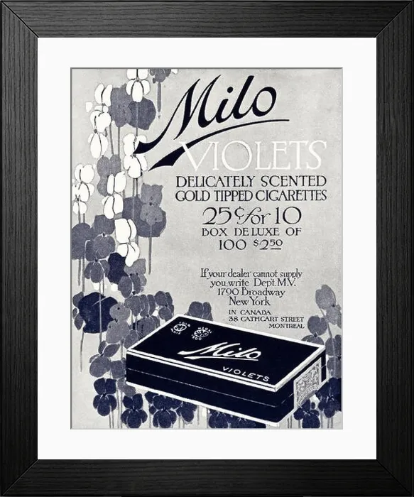 Framed Print : 1920 advert from original old vintage American magazine 1920s advertisement advertising Milo Violets scented gold tipped cigarettes Framed Print : 1920 advert from original old vintage American magazine 1920s advertisement advertising Milo Violets scented gold tipped cigarettes