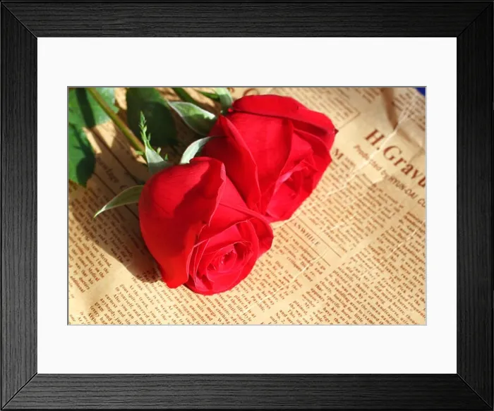 Framed Print : Red roses with newspaper Framed Print : Red roses with newspaper