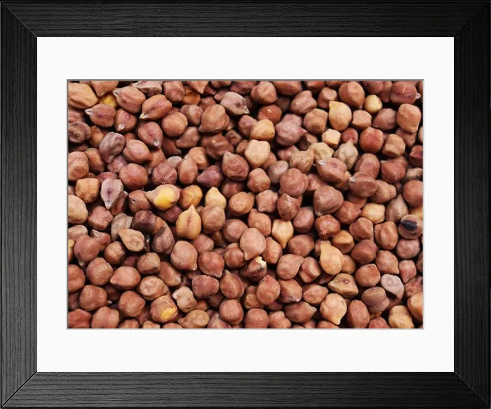 Framed Print : Healthy food. chickpeas background. bengal gram chickpeas texture Framed Print : Healthy food. chickpeas background. bengal gram chickpeas texture