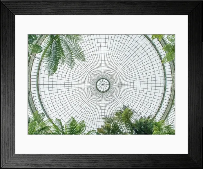 Framed Print : UK, Scotland, Glasgow. Glasgow Botanic Gardens, Kibble Palace Roof Framed Print : UK, Scotland, Glasgow. Glasgow Botanic Gardens, Kibble Palace Roof