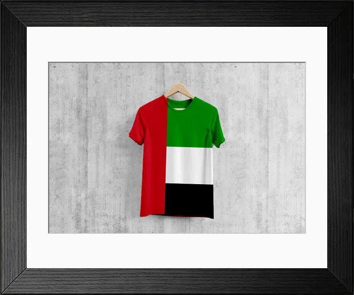 Framed Print : United Arab Emirates flag T-shirt on hanger, UAE team uniform design idea for garment production. National wear Framed Print : United Arab Emirates flag T-shirt on hanger, UAE team uniform design idea for garment production. National wear