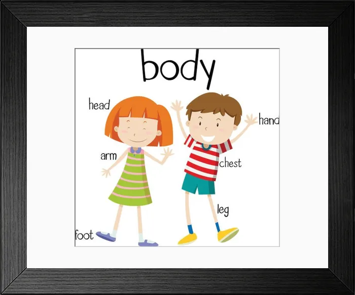 Framed Print : Human body parts diagram Framed Print : Human body parts diagram
