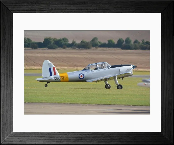 Framed Print : De Havilland Chipmunk training airplane taking off at IWM Duxford 2017 Framed Print : De Havilland Chipmunk training airplane taking off at IWM Duxford 2017