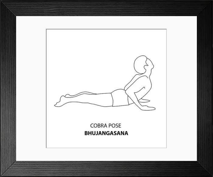 Framed Print : Man practicing yoga pose isolated outline Illustration. Man standing in Cobra Pose or Bhujangasana, Yoga Asana line icon Framed Print : Man practicing yoga pose isolated outline Illustration. Man standing in Cobra Pose or Bhujangasana, Yoga Asana line icon