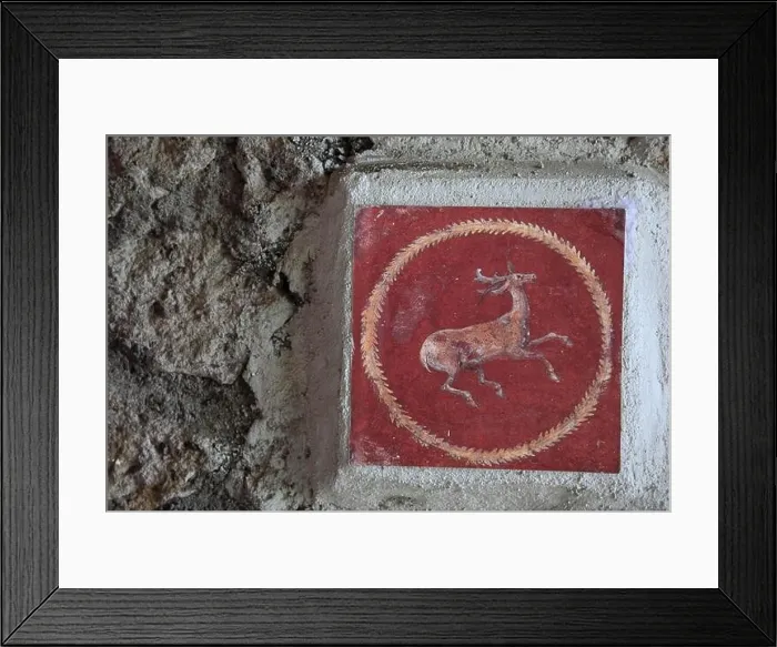 Framed Print : Wall fresco, historical Villa San Marco, Stabiae, Castellammare di Stabia, Campania, Italy, Europe Framed Print : Wall fresco, historical Villa San Marco, Stabiae, Castellammare di Stabia, Campania, Italy, Europe