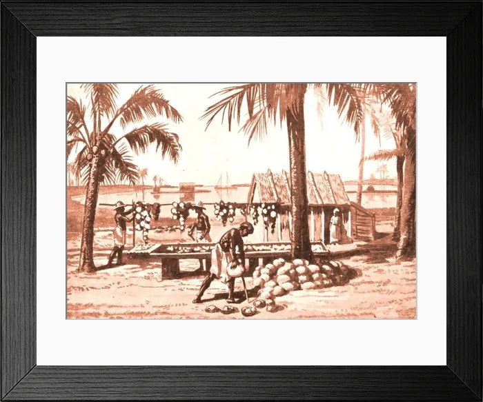 Framed Print : 1927 printed image of a natives preparing commercial copra on a Pacific island. Copra (or khobara) Framed Print : 1927 printed image of a natives preparing commercial copra on a Pacific island. Copra (or khobara)