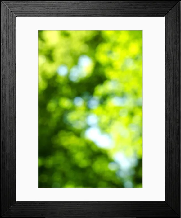 Framed Print : Green blur background of trees and sky Framed Print : Green blur background of trees and sky