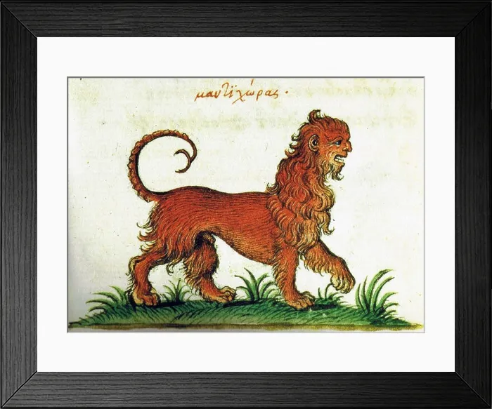Framed Print : Manticore from a Greek manuscript of Liber de proprietatibus animalium, 16th century Framed Print : Manticore from a Greek manuscript of Liber de proprietatibus animalium, 16th century