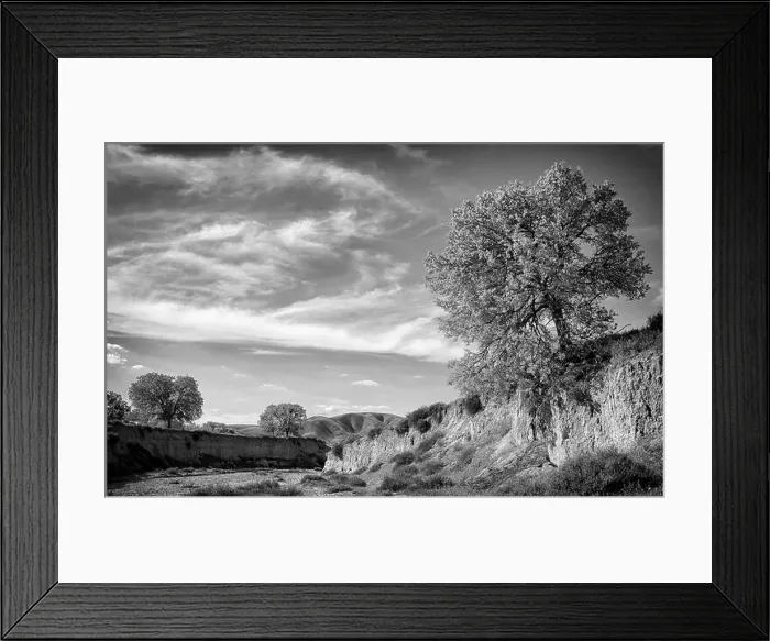 Framed Print : Dry river bed and oak trees, California Central Coast near Paso Robles Framed Print : Dry river bed and oak trees, California Central Coast near Paso Robles