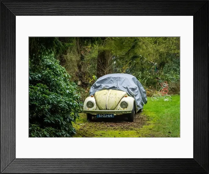 Framed Print : Zeegse, Drenthe / Holland - 13-12-2O20 - Old VW kever beatle under a cover in the woods Framed Print : Zeegse, Drenthe / Holland - 13-12-2O20 - Old VW kever beatle under a cover in the woods