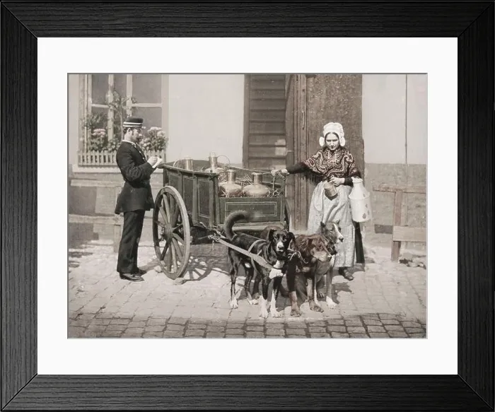 Framed Print : 19th century vintage photograph: milk maid and dog milk cart Belgium Framed Print : 19th century vintage photograph: milk maid and dog milk cart Belgium
