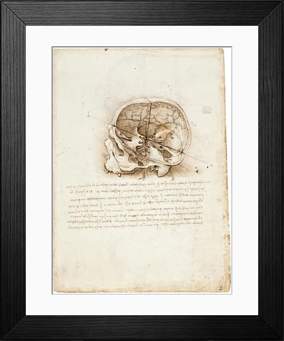 Framed Print : Leonardo Da Vinci drawing, Cross section of a human skull, anatomical drawings, 1489 Framed Print : Leonardo Da Vinci drawing, Cross section of a human skull, anatomical drawings, 1489