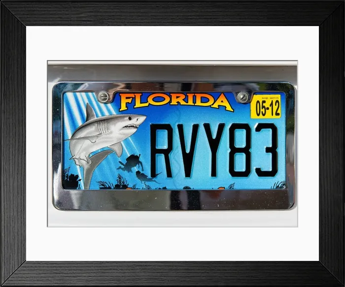 Framed Print : Florida License Plate, USA Framed Print : Florida License Plate, USA