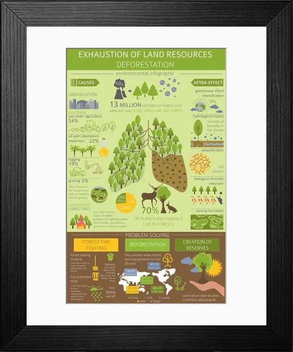 Framed Print : Global environmental problems. Exhaustion of land resources infographic. Deforestation. Vector illustration Framed Print : Global environmental problems. Exhaustion of land resources infographic. Deforestation. Vector illustration