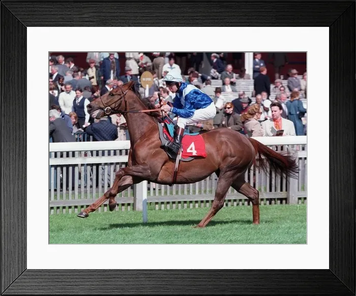 Framed Print : MONAASSIB RIDDEN BY D. O'DONOHOE 03 May 1997 Framed Print : MONAASSIB RIDDEN BY D. O'DONOHOE 03 May 1997