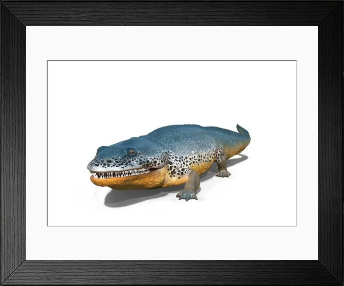 Framed Print : Metoposaurus Framed Print : Metoposaurus