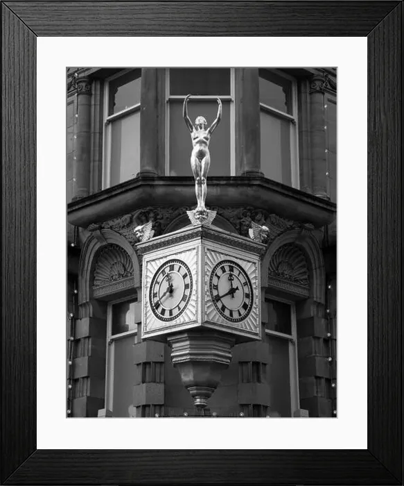 Framed Print : Acer Autumn Rainbow Framed Print : Acer Autumn Rainbow