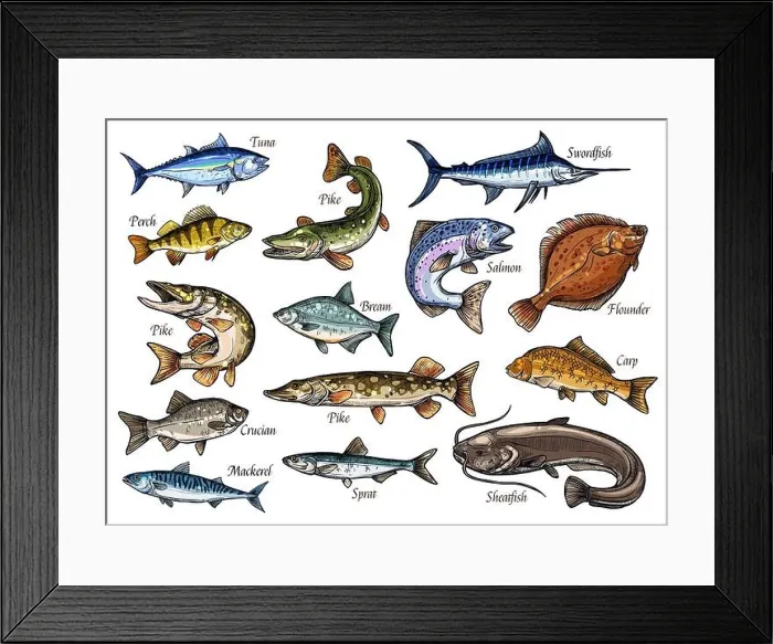 Framed Print : Fish sketches of sea, ocean and river animal for seafood and fishing sport design Framed Print : Fish sketches of sea, ocean and river animal for seafood and fishing sport design