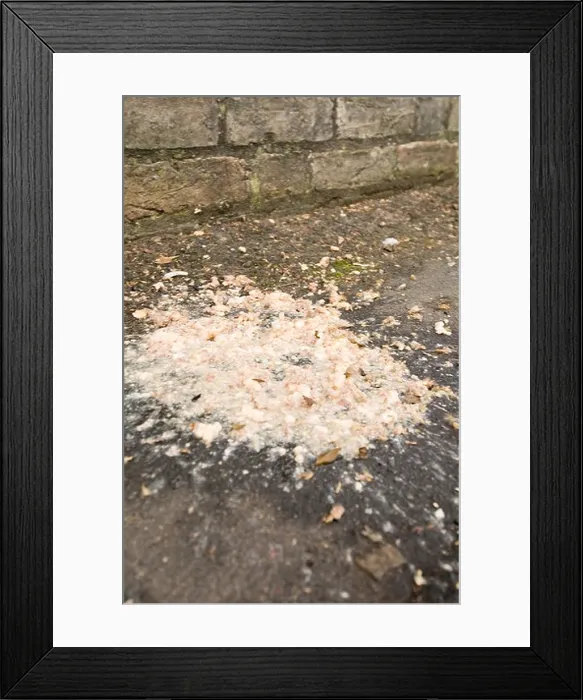 Framed Print : sick pool of puddle puddles binge drinking drinker drinkers binging binger saturday night out puke barf barfing puked Framed Print : sick pool of puddle puddles binge drinking drinker drinkers binging binger saturday night out puke barf barfing puked