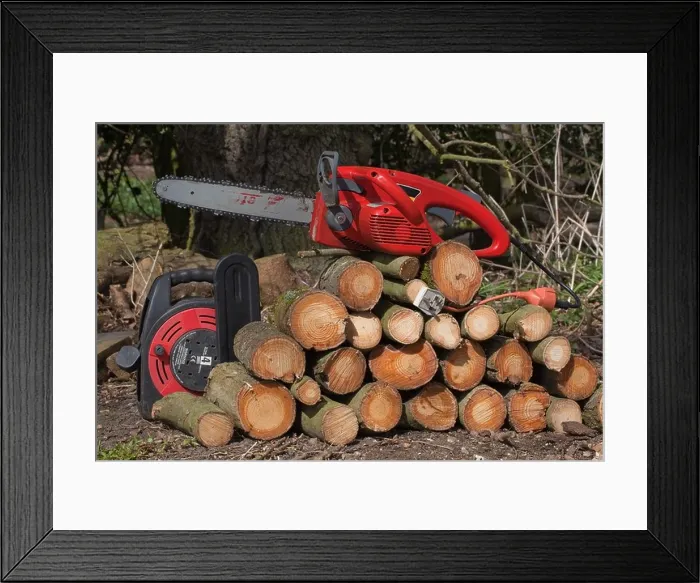 Framed Print : Electric Chain Saw on top of a pile of just cut Common Ash (Fraxinus excelsior) Framed Print : Electric Chain Saw on top of a pile of just cut Common Ash (Fraxinus excelsior)