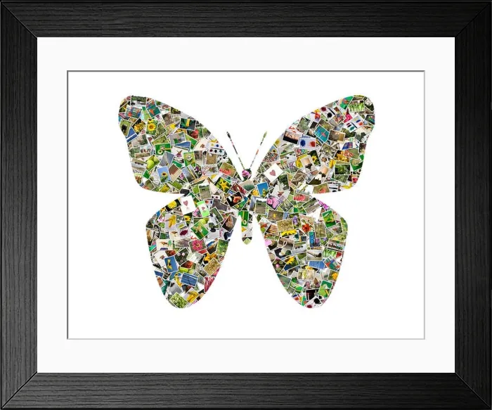 Framed Print : insect, butterfly, collage, photos, images, photo, picture, image, copy Framed Print : insect, butterfly, collage, photos, images, photo, picture, image, copy