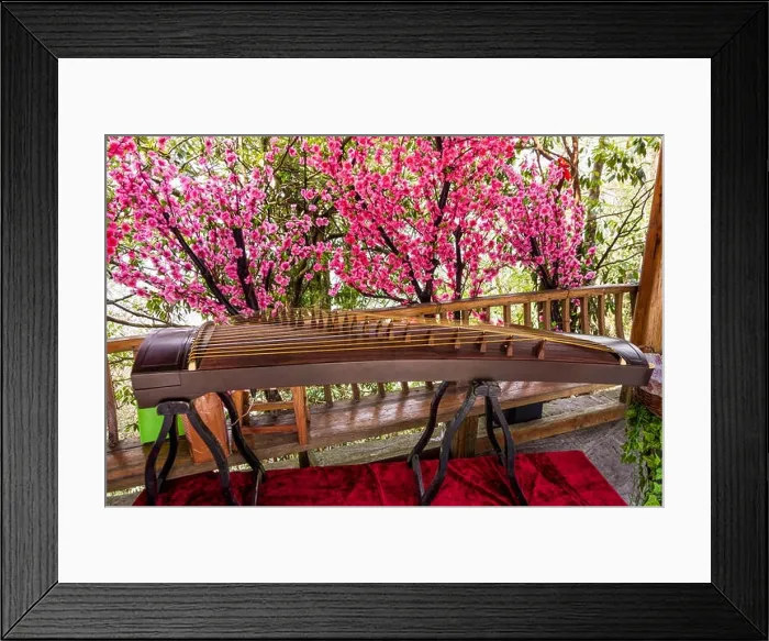 Framed Print : Guzheng instrument on the background of beautiful blossom flowers at Tianmen Mountain Framed Print : Guzheng instrument on the background of beautiful blossom flowers at Tianmen Mountain