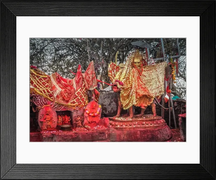 Framed Print : Photo of large golden and red statues with golden cloth and ornaments near Pathivara Devi Temple in Nepal Framed Print : Photo of large golden and red statues with golden cloth and ornaments near Pathivara Devi Temple in Nepal