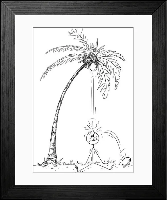 Framed Print : Person on Vacation Hit By Coconut Falling From Tree, Vector Cartoon Stick Figure Illustration Framed Print : Person on Vacation Hit By Coconut Falling From Tree, Vector Cartoon Stick Figure Illustration