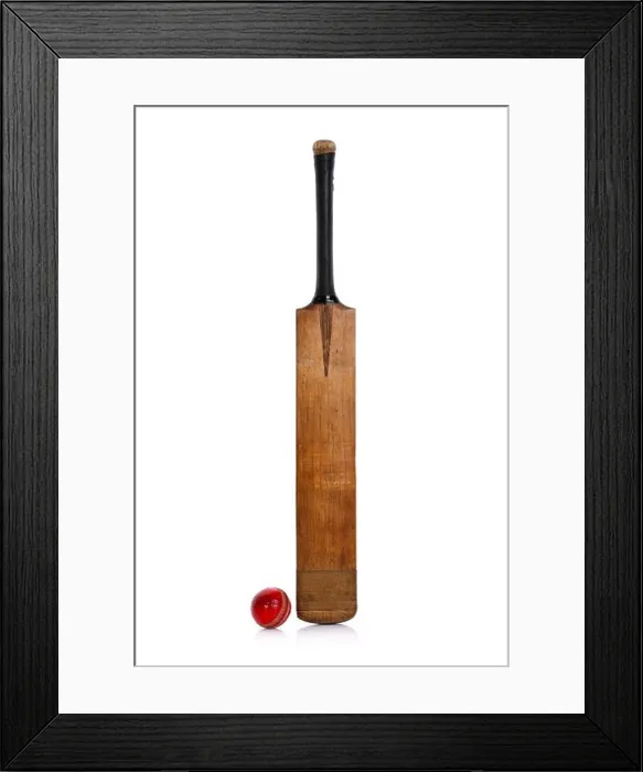 Framed Print : Cricket bat and ball Framed Print : Cricket bat and ball