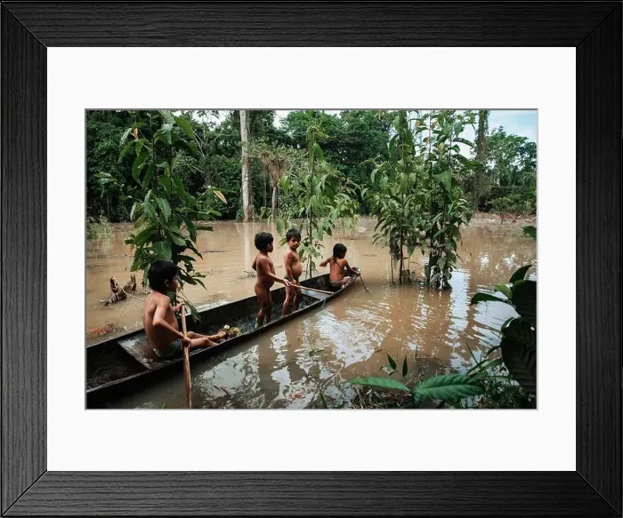 Framed Print : Aerial Drone shot of Ecuadorian Amazon Rainforest Framed Print : Aerial Drone shot of Ecuadorian Amazon Rainforest