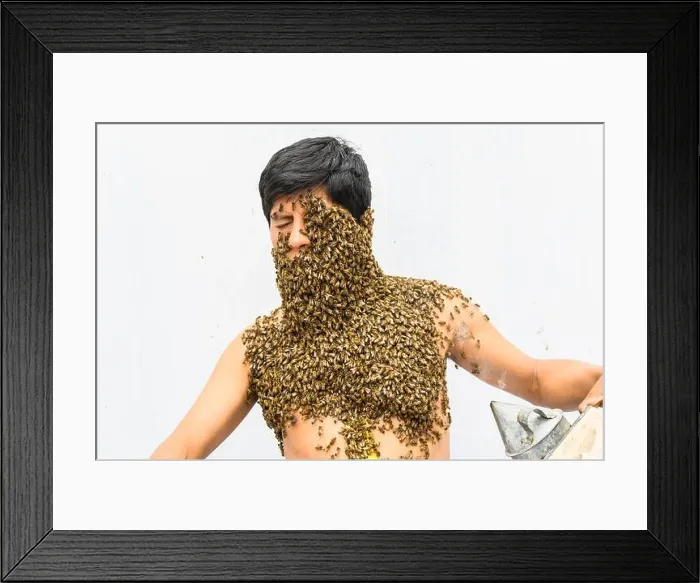 Framed Print : Beekeeper covered by bees, he has the queen bee on his neck so all the bees stick to his body. surrealism Framed Print : Beekeeper covered by bees, he has the queen bee on his neck so all the bees stick to his body. surrealism