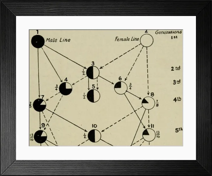 Framed Print : The mating and breeding of poultry Framed Print : The mating and breeding of poultry