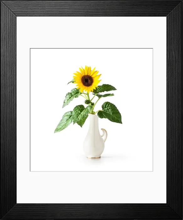 Framed Print : Sunflower flower in vintage porcelain vase Framed Print : Sunflower flower in vintage porcelain vase