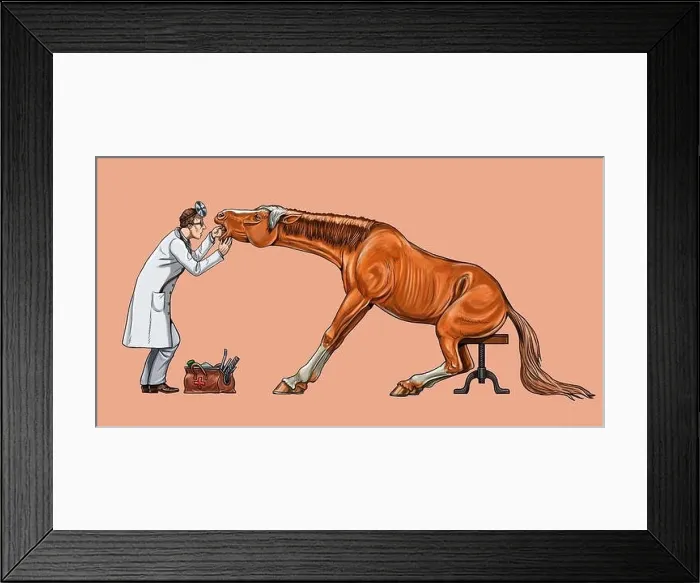 Framed Print : Veterinarian examines the horse. Dentist for the horse. Digital drawing Framed Print : Veterinarian examines the horse. Dentist for the horse. Digital drawing
