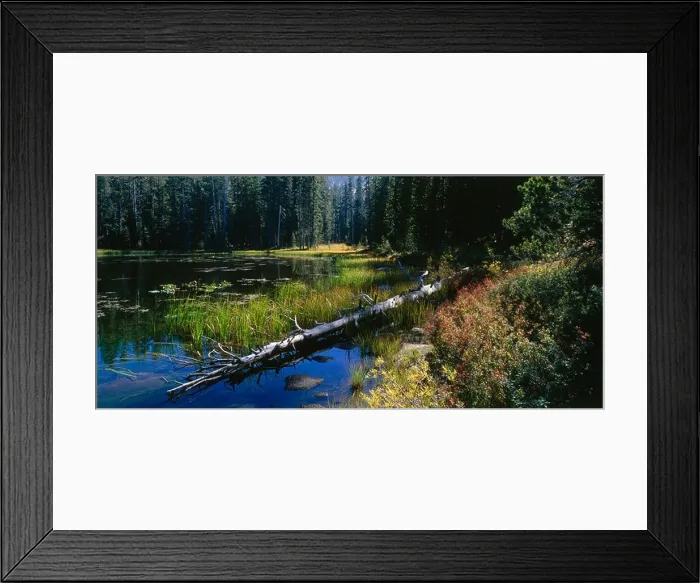 Framed Print : View of Siesta Lake, Yosemite National Park, California, USA, America Framed Print : View of Siesta Lake, Yosemite National Park, California, USA, America