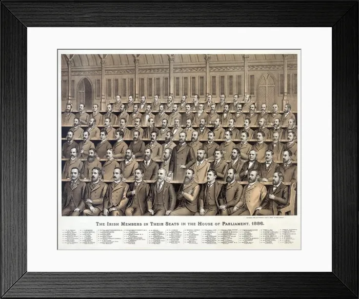 Framed Print : Irish members in their seats in the House of Parliament; 1886 Framed Print : Irish members in their seats in the House of Parliament; 1886