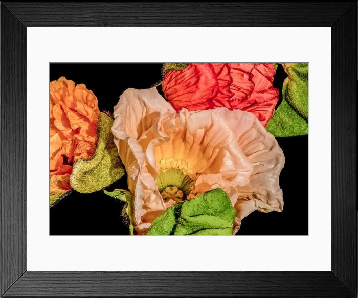 Framed Print : satin / silk poppy blossom collage Framed Print : satin / silk poppy blossom collage