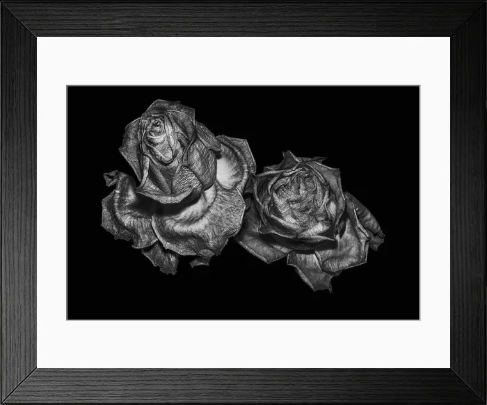 Framed Print : surrealistic aged rose couple macro protrait Framed Print : surrealistic aged rose couple macro protrait