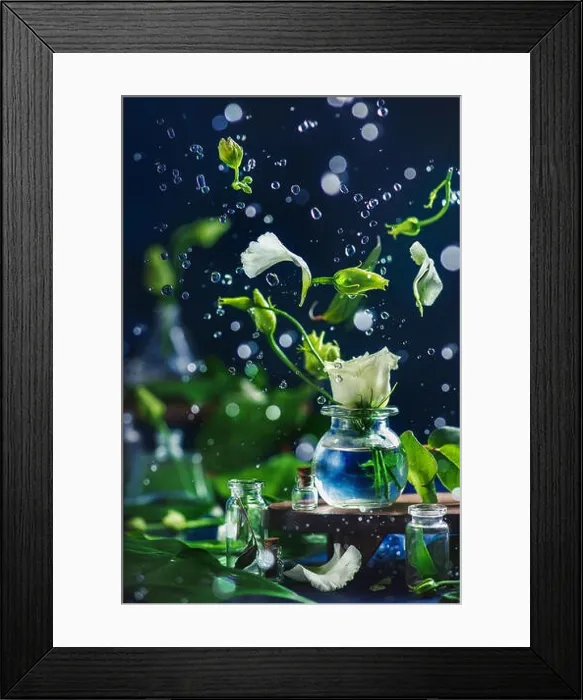Framed Print : Floating eustoma flowers, petals, buds and water drops in motion on a dark background with beautiful bokeh Framed Print : Floating eustoma flowers, petals, buds and water drops in motion on a dark background with beautiful bokeh