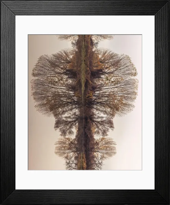 Framed Print : Abstract, rotated, reflection of riverbank trees on the calm river water Framed Print : Abstract, rotated, reflection of riverbank trees on the calm river water