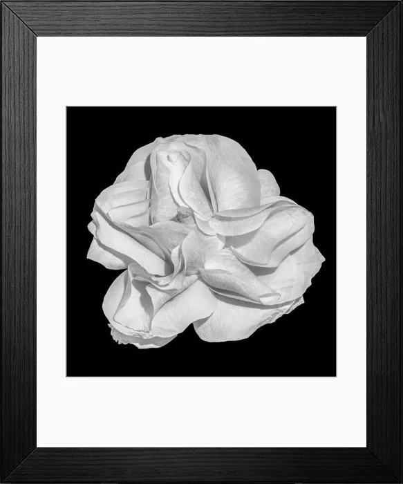 Framed Print : Monochrome black Framed Print : Monochrome black