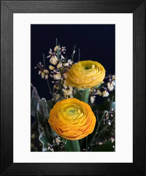 Framed Print : Fine art still life natural floral color close up of a flower bouquet with buttercups Framed Print : Fine art still life natural floral color close up of a flower bouquet with buttercups