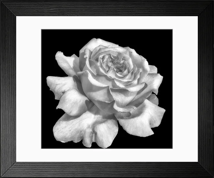 Framed Print : Monochrome black