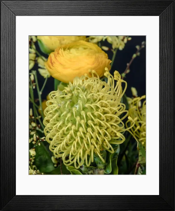 Framed Print : Fine art still life natural floral color close up of a flower bouquet with buttercups and proteas Framed Print : Fine art still life natural floral color close up of a flower bouquet with buttercups and proteas