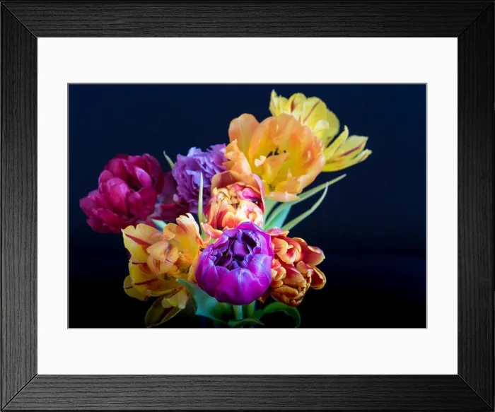Framed Print : Fine art floral still life flower macro of a flowering tulip blossom bouquet / bunch on blurred Framed Print : Fine art floral still life flower macro of a flowering tulip blossom bouquet / bunch on blurred